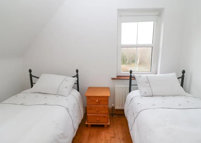 The Skating Rock * Bonane